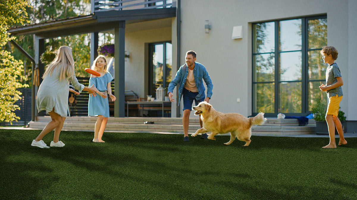 Evergrass® MEADOW GREEN PET-TURF 91