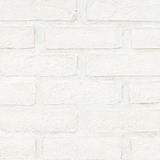 Alpine White Reclaimed Clay Brick