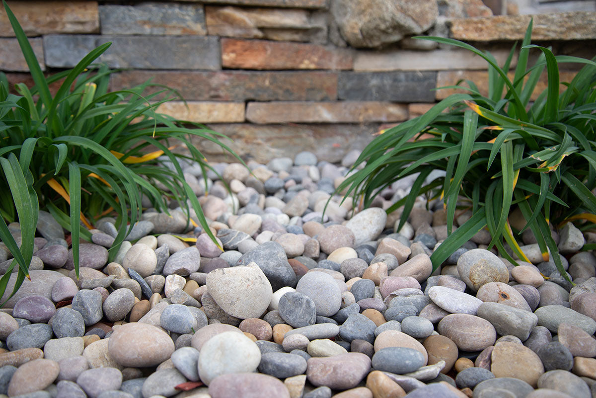 Amazon Multi Pebbles