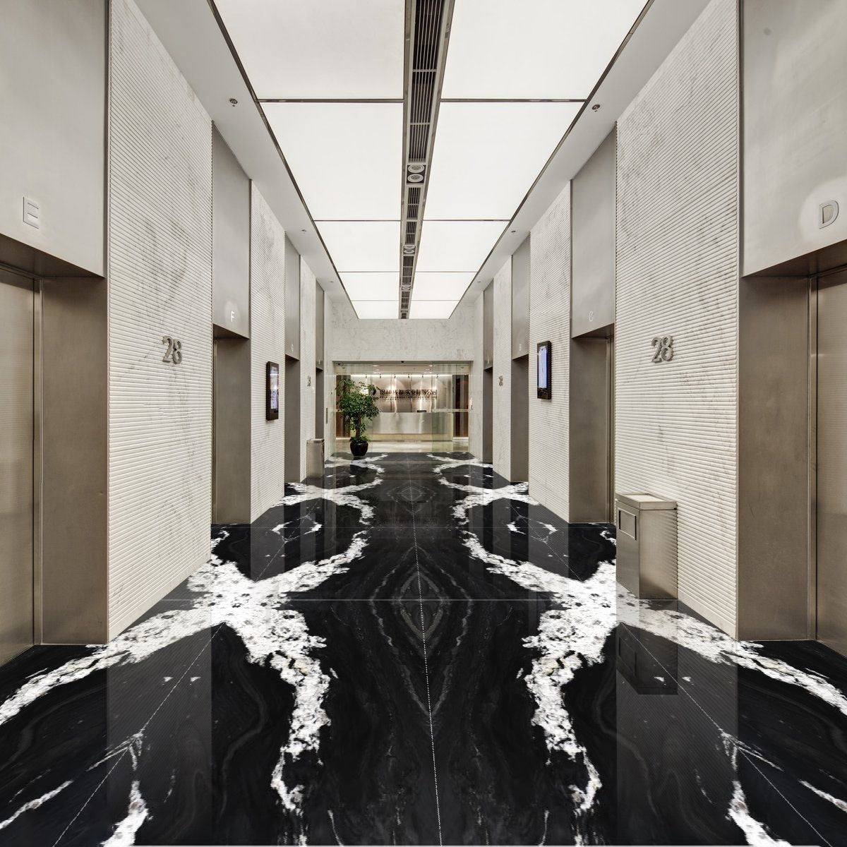 Andes Black Quartzite