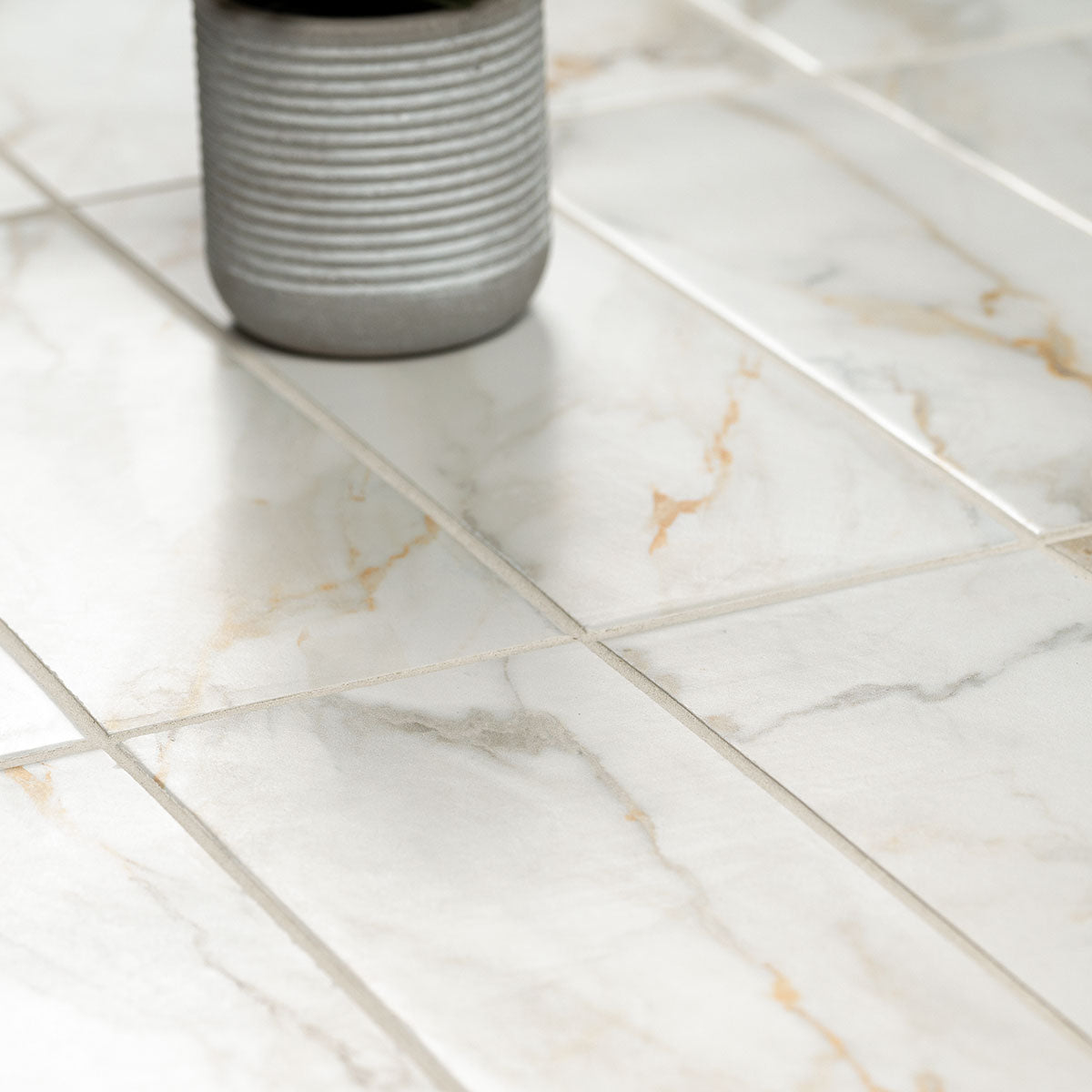 Calacatta Gold Matte 4x12