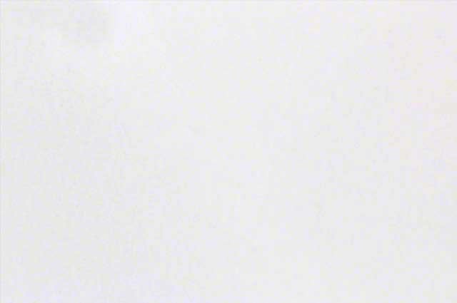 Elegant White Marble