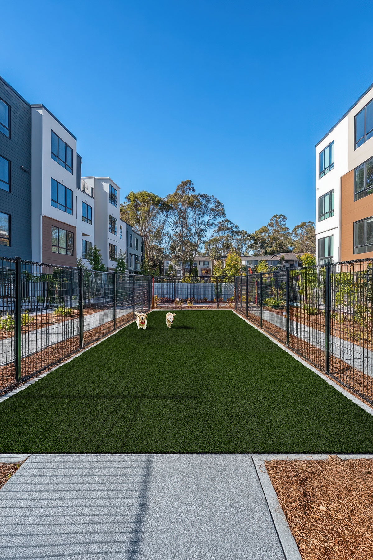 Evergrass® MEADOW GREEN PET-TURF 91
