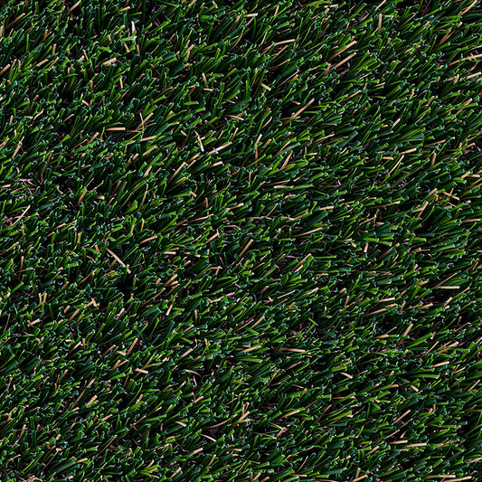 Evergrass® SUMMER GOLD 96